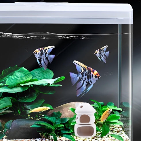 Cute Betta Fish Tank House with Cave Set, Small Mushroom Fish Aquarium Decor Pottery Hide Cave Habitat Hut for Betta Fish Passing or Hiding Safely...