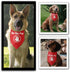 Do Not Pet Dog Bandana for Dogs Puppy Bandana Funny Dog Bandana Photo Prop Pet Scarf Accessories for Pet Dog Lovers Gifts...