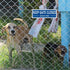 Keep Gate Closed Sign Dogs in Yard Sign, (2 Pack) Please Close Gate Sign, 10" x 3.5" Shut the Gate Metal Sign, Aluminum Latch Gate Sign for Fence ...