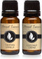 Eternal Essence Oils Fragrance Oil 2 Pack - Coconut Cream and Tahitian Vanilla Scents - Ideal for Diffusers, Candle Making, Soap Making, Aromather...