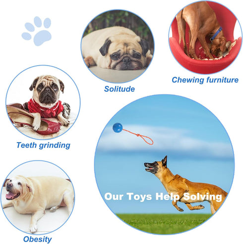 2 Pack Dog Ball, K9 Ball, Solid Rubber Ball on Rope for Reward, Fetch, Play(Blue and Red)...