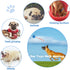 2 Pack Dog Ball, K9 Ball, Solid Rubber Ball on Rope for Reward, Fetch, Play(Blue and Red)...
