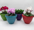 The HC Companies 8 Inch Rings Planter with Self Watering Disk - Lightweight Indoor Outdoor Plastic Plant Pot for Herbs and Flowers, Warm Red...