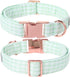 Lionet Paws Dog Collar, Green Stripe Pattern Pet Collar Durable Cute Dog Collars Male or Female Pet Gift Adjustable Dog Collar for Large Dogs...