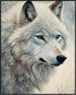 Posterizer 1 pcs-white arctic wolf in snowy nature-oil painting style -3-Art for Animal Lovers-Landscape & Nature Art-Decor for Home & Office- unf...