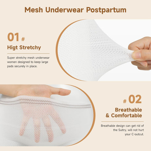 Disposable Postpartum Underwear Mesh Panties 10 Count Mesh Underwear Postpartum Carer C-Section Maternity Briefs, Surgical Recovery, Lightweight, ...