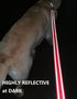 6FT Reflective Dog Leash for Large&Medium and Small Dogs, Strong and Durable Nylon Leashes for Walking and Training, Heavy Duty 6 Foot Dog Leash w...