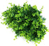 Artificial Plants Flowers Faux Boxwood Shrubs 6 Pack, Lifelike Fake Greenery Foliage with 42 Stems for Garden, Patio Yard, Wedding, Office and Far...