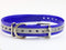 27 ½” X ¾” Replacement Dog Collar Strap Band w/Double Buckle Loop - All Brands Pet Training Bark, Shock, e-Collars and Fences. Wide Variety of Bol...