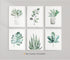 Botanical Prints Wall Art Room Decor for Bedroom Aesthetic, 8x10 Canvas Poster Unframed Set of 6, Plant Prints Leaf Posters Sage Green Decor...