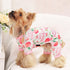 Girl Dog Pajamas, Cotton Stretchable Pet Dog Pajamas Jammies Puppy Outfits for Extra Large Dogs Female Male, Spring Summer Doggie Pjs Doggy Pajama...