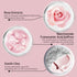 Rose Clay Facial Mask, Clay Mask Reduce the Blackheads, Pink Clay Mask with Kaolin and Collagen, Gentle Skincare for Women and men, Moisturizing 5...