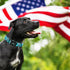 Elegant little tail Independence Day Dog Collar, Holiday Pet Collar Patriotic Durable Dog Collar Cotton Soft Pet Gift Plastic Buckle Adjustable Do...