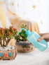 Melphoe Tattoo Wash Bottle Squeeze 3Pcs 500ml Squirt Bottle Succulent Watering Can, Safety Rinse Bottle, Plastic Squeeze Medical Lab Washing Bottl...