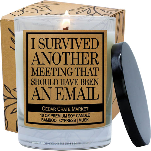 Cedar Crate Market - Funny Candles for Women, Men, Adult Humor - This Meeting Could Have Been an Email - Funny Gift for Coworkers, Boss, Work Best...
