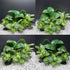 Smoothedo-Pets Fish Tank Decorations Aquarium Decor 5pcs Ornaments Betta Leaf pad Hammock Composite Plastic Artificial Plant Goldfish Waterscape F...