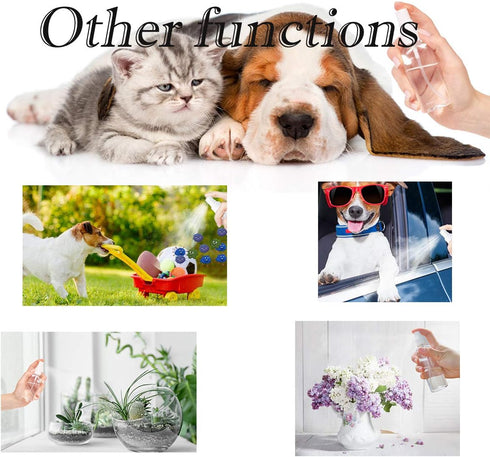 ZEJIA Small Spray Bottle 2OZ, Plastic Travel Spray Bottle, Refillable Mini Spray Bottle for Face, Liquids, Perfume, with Labels (6 Pack)...