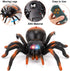 Liberty Imports RC Moving Tarantula Spider - Kids Wireless Remote Control Toy, Great for Pranks and Halloween Decorations, Realistic Scurrying Mov...