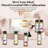 Floral Essential Oils Set of 6 Pure Essential Oil Gift Set for Diffusers, Soap & Candle Making - Lavender, Rose, Ylang Ylang, Jasmine, Geranium, C...
