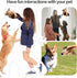 Plush Dog Toy, Squeaky & Stuffed Puppy Toy, Small & Medium Dog Toy...