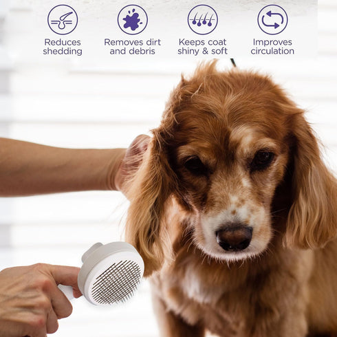 1 Pcs Cat Grooming Brush, Cat Brush Cats Grooming Dematting Comb Self Cleaning Slicker Brushes for Dogs Cats Pet for Shedding Remove Undercoat Mat...