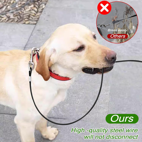 2 Pack Chew Proof Dog Leash Extension Metal Cable Lead, Heavy Duty Leash Non-Tangle Connect Leash for Any Leash & Collar & Harness, Black Dog Leas...