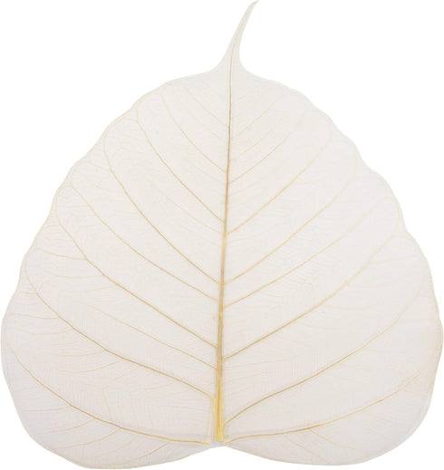 Skeleton Natural Ficus Religiosa Leaves Artificial Leaves Craft Card Scrapbook DIY Handmade Embellishment Decoration Art...