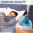 Humidifier Tank Cleaner, Raipoment Demineralization Cleaning Ball, Compatible with Mist Humidifiers, Fish Tank, Purifies Water, Prevents Hard Wate...