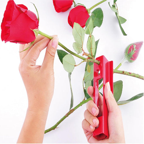 1 Set Rose Stem Leaf Thorn Stripper Stripping Tool Thorn Remove Kit with Scissors Stab-resistant gloves...
