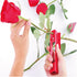 1 Set Rose Stem Leaf Thorn Stripper Stripping Tool Thorn Remove Kit with Scissors Stab-resistant gloves...