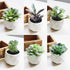 Augshy Artificial Succulents, 16 Pack Fake Succulents Plants Artificial Small Fake Plants Faux Succulents Unpotted for Lotus Landscape Decorative ...