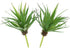 LJY 2 Pieces Realistic Artificial Faux Succulent Yucca Vera Greenhouse Small Plants Unpotted for Home Garden Decoration (Spring Green)...