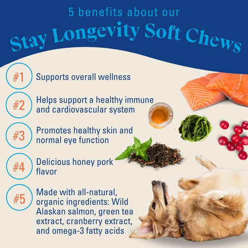 Soft Chew Multivitamin for Dogs - Longevity Focus | Overall Wellness, Healthy Immune and Cardiovascular System for Dogs | OTIS Healthy Dog Treats ...