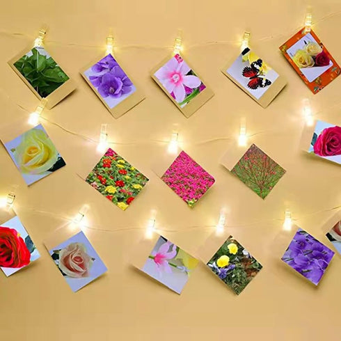 30 Pieces Hanging Wall Clips with Sticky Strips, 1.4*0.3IN Plastic Hanging Clips for Pictures Poster Photo Halloween Christmas Decorations (Clear?...