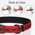 PetiFine Dog Collar with Metal Buckle, Heavy Duty Dog Collar with Soft Neoprene Padded, Adjustable Reflective Nylon Dog Collars for Small Medium L...