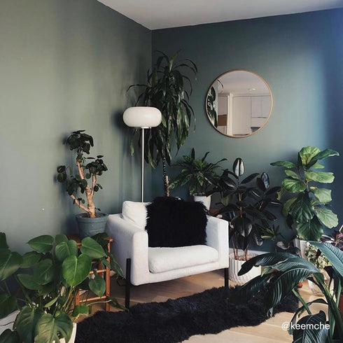 BACKDROP | Premium Interior Paint | Large Adhesive Paint Swatch | WEEKEND UPSTATE - Dark Green With A Hint Of Blue | 12" x 12" Color Sample...