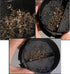 Indoor Insect Trap,Fruit Fly Trap Indoor for Home,Gnat Traps for House, Mosquito Traps,Zapper Fly Traps Catcher for Mosquito Hanging on The Wall,B...