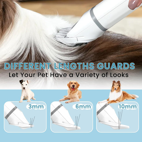Low Noise Cordless Clippers for Dogs and Cats – Grooming Kit with Nail Grinder, 4 in 1 Electric Trimmer for Paws, Ears, Eyes, and Face, Gray...