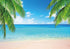 7x5ft Summer Beach Photography Backdrop Sea Ocean Palm Leaf Sand Beach Background Wedding Baby Shower Birthday Party Banner Supplies Photo Booth P...