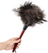 Ostrich Feather Duster (Set of 2), 14-Inch, Indulge in Effortless Elegance with Premium Reusable Design for Thorough, Eco-Friendly Cleaning at Hom...