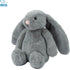 Best Pet Supplies Interactive Bunny Buddy Dog Toy with Crinkle and Squeaky Enrichment for Small and Medium Breed Puppies or Dogs, Cute and Plush -...