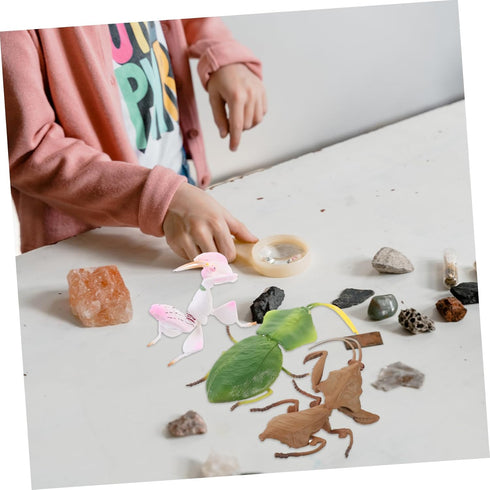 TOYANDONA Desktop Decor 3pcs Plastic Plastic Playes Desktop Toys Realistic Simulation Model Simulation Model Small Mantis Decoration Animal Decora...
