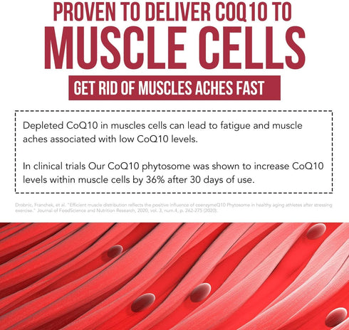 SoActive CoQ10® 250 mg: CoQ10 Phytosome with up to 9X Higher Absorption - Proven Cellular Delivery - Supports Cellular Energy Production (60 Capsu...