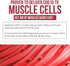 SoActive CoQ10® 250 mg: CoQ10 Phytosome with up to 9X Higher Absorption - Proven Cellular Delivery - Supports Cellular Energy Production (60 Capsu...