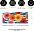 Evergreen Sassafras Spring Gerbera Bouquet Interchangeable Entrance Doormat | Indoor and Outdoor | 22-inches x 10-inches | Non-Slip Backing | All-...