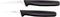 Mercer Culinary Thai Fruit Carving Knife Set, 2 Inch & 2.5 Inch, Black Handles...
