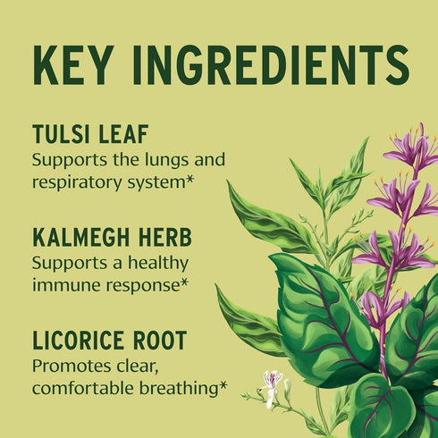 Banyan Botanicals Immune Strong – Organic Supplement with Turmeric & Tulsi – Ayurvedic Immune Formula That Supports The Body's Natural Defenses* –...