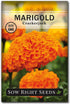 Sow Right Seeds - Insect & Pest Repellent Seed Collection for Planting - Lavender, Catnip, Marigold, Hyssop & Lemon Grass - 5 Packets with Instruc...