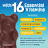 YUM-V'S - Kids Multivitamin Chewable Chocolate Bears - Multivitamin for Kids Supplement - 16 Vitamins & Minerals - Vitamins Including D, Zinc, C, ...