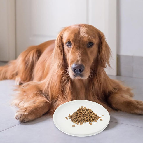 Ceramic Cat Bowls, Shallow Dog Bowls Whisker Stress Cat Dishes, Relieves Fatigue for Food Shallow Kitten Bowl Pet Bowl Dog Feeder Pet Food Dish St...